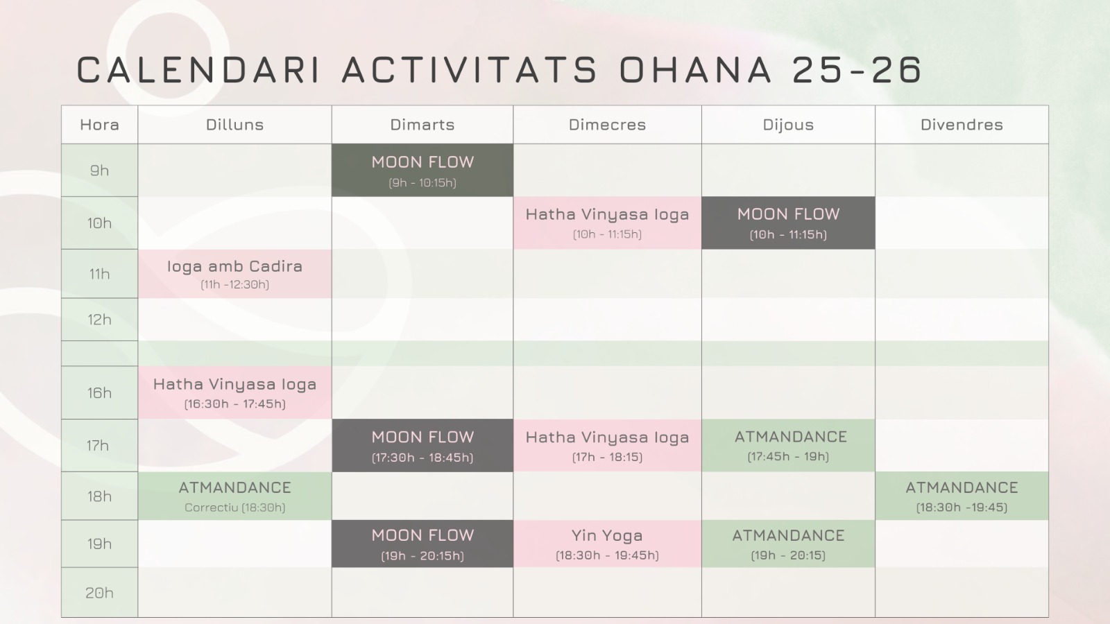 WhatsApp Image 2026-03-10 at 17.12.40